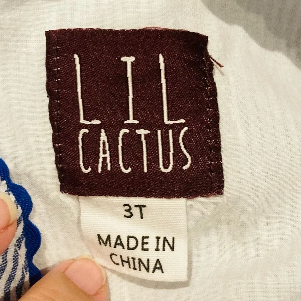 Lil Cactus lil cactus